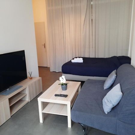 Grand T1 Au Calme - Dijon Centre Apartment Bagian luar foto